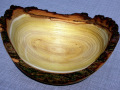 DSCN9611-001