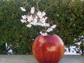 DSCN0096-001